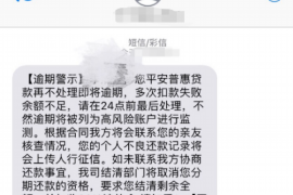 涉县为什么选择专业追讨公司来处理您的债务纠纷？